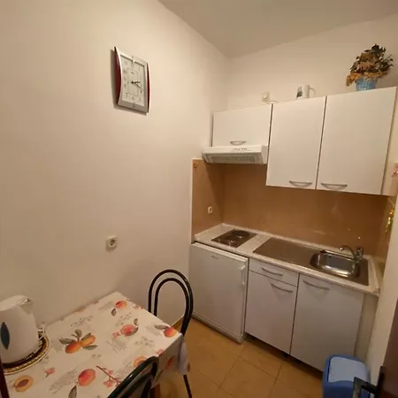Dragica 3*