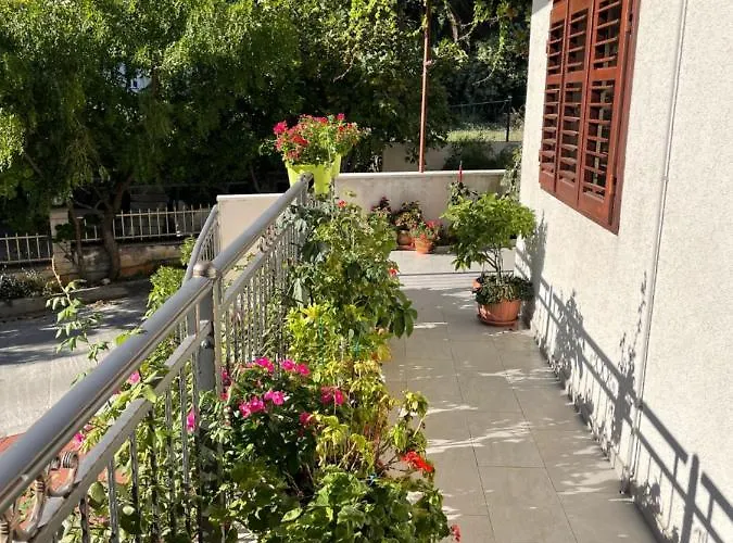 Πανσιόν Dragica